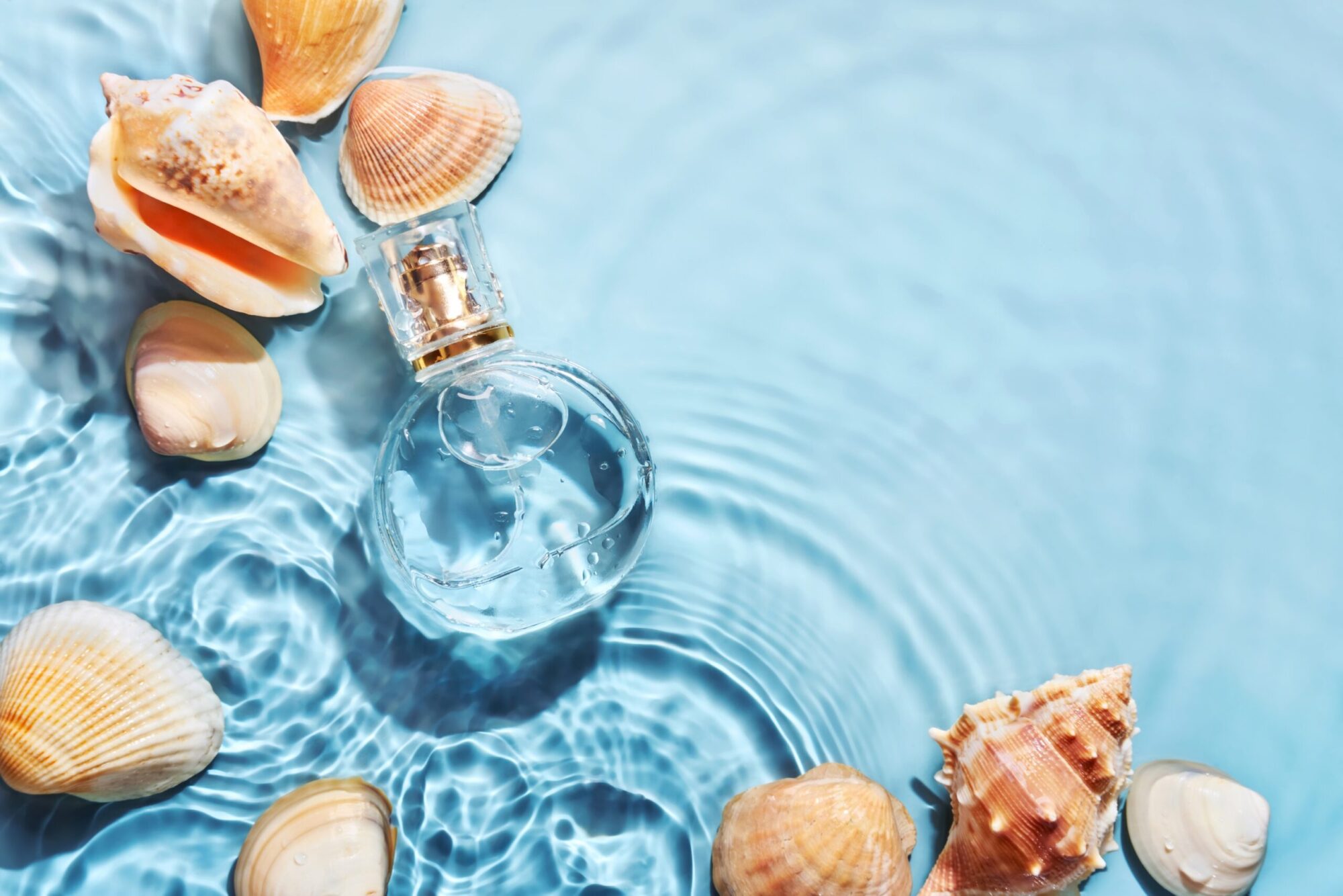 Perfumes de verano