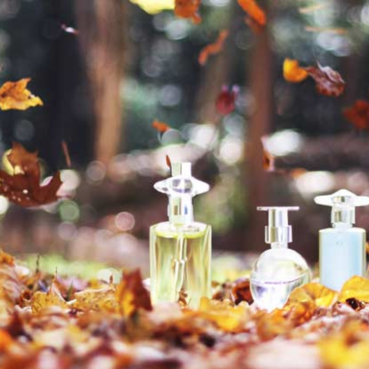 Los mejores perfumes de otoño que son tendencia
