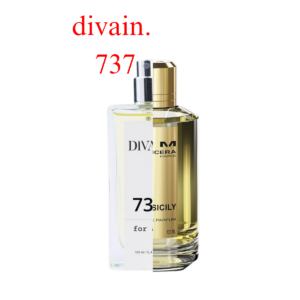 divain.737